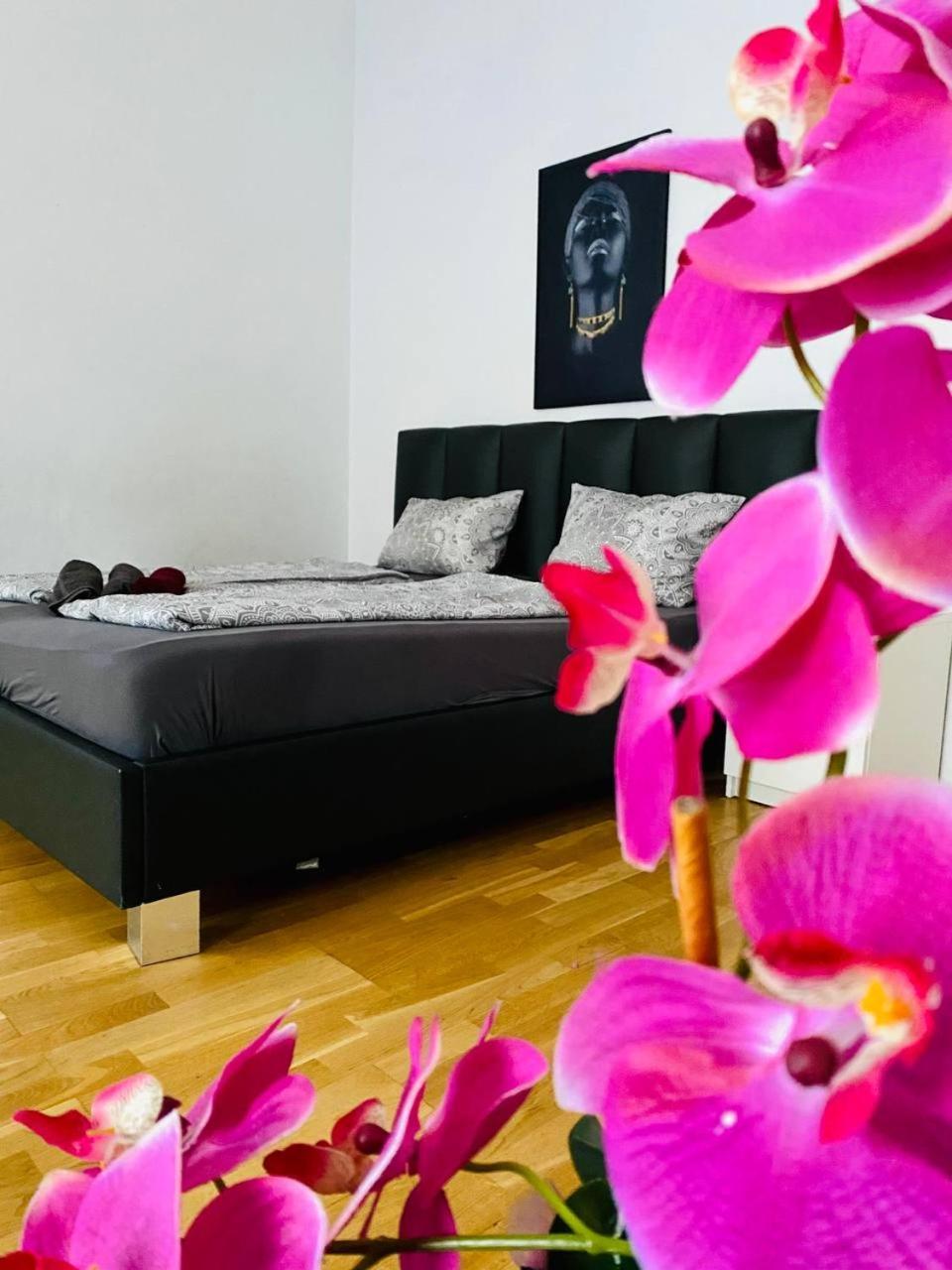 Family Apartment Th8 8 Wien Exteriör bild